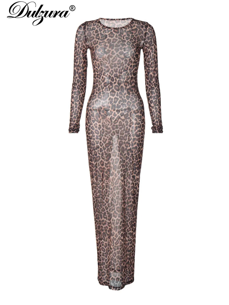 Leopard Long-Sleeve Maxi Dress