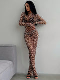 Leopard Long-Sleeve Maxi Dress
