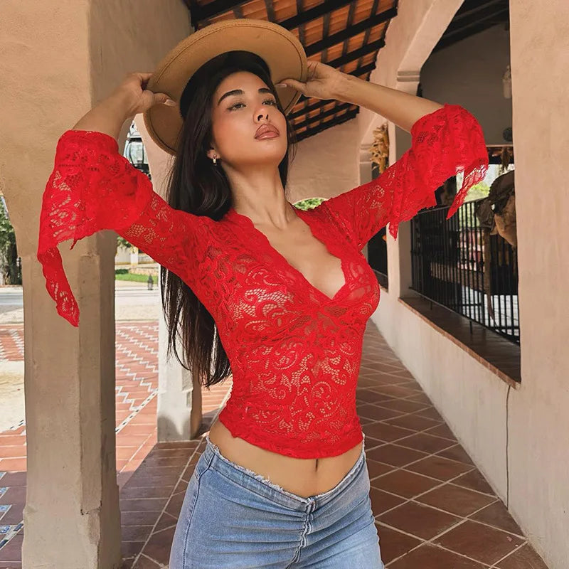 Sheer Lace V-Neck Long-Sleeve Top