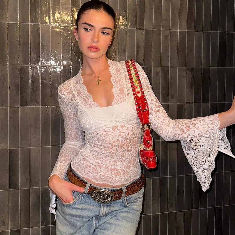 Sheer Lace V-Neck Long-Sleeve Top