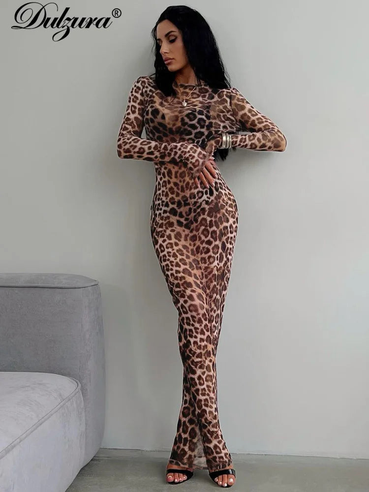 Leopard Long-Sleeve Maxi Dress